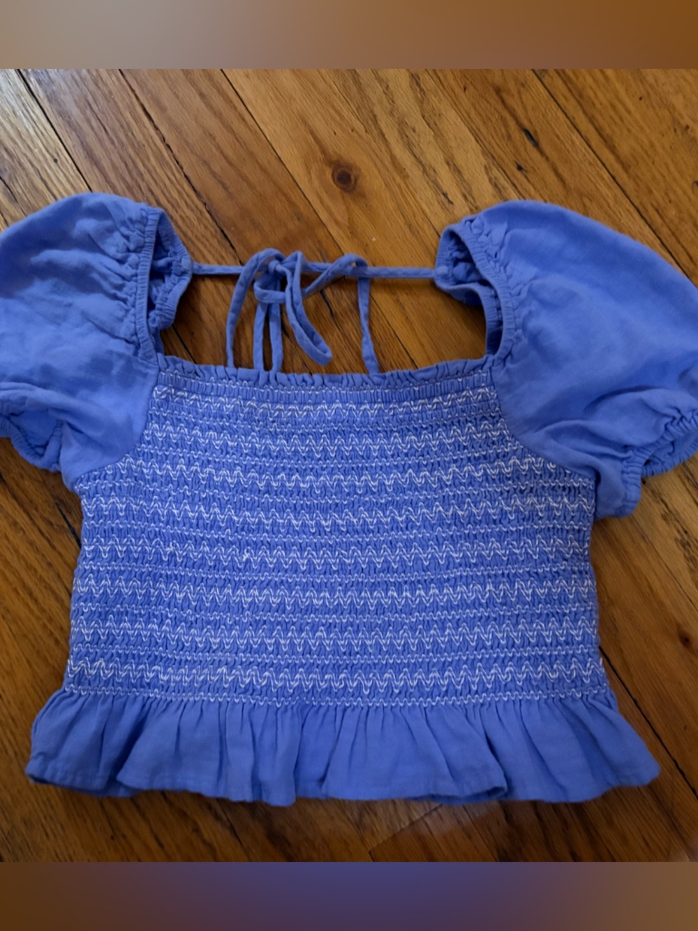 American Eagle Outfitters Baby Blue Smocked Puff-Sleeve Crop Top
